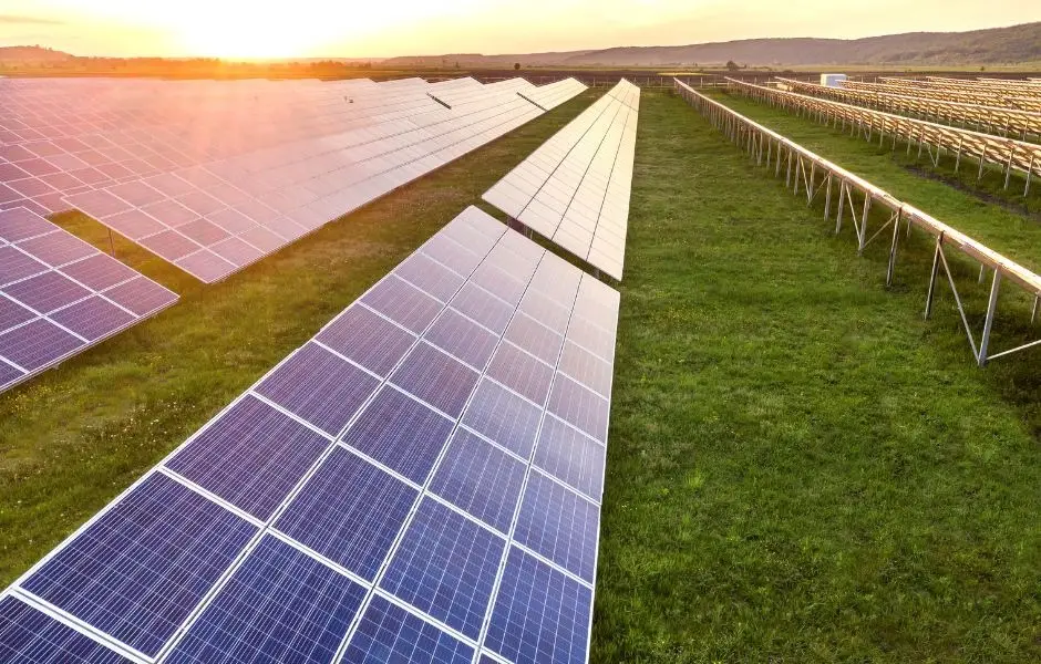 Rangées de panneaux photovoltaïques au sol au soleil couchant